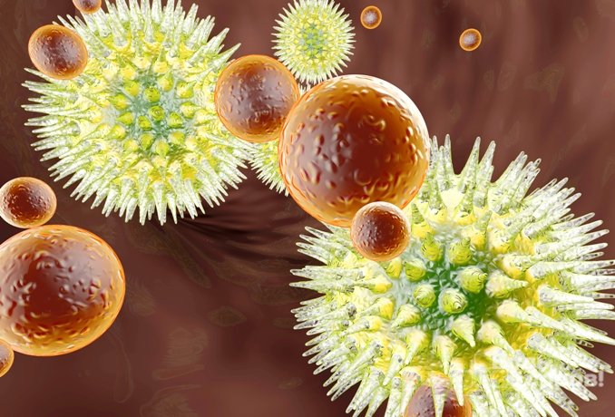 Виды инфицирования