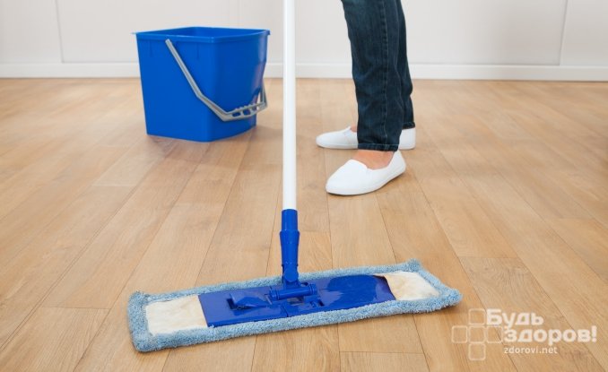 Способы борьбы с домашним клещом